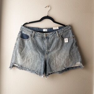 Time and Tru Blue Jean Shorts